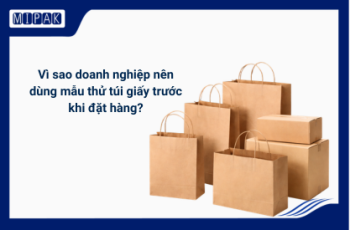 Vì sao doanh nghiệp nên dùng mẫu thử túi giấy trước khi đặt hàng?